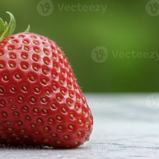 Acer Laptop Computer